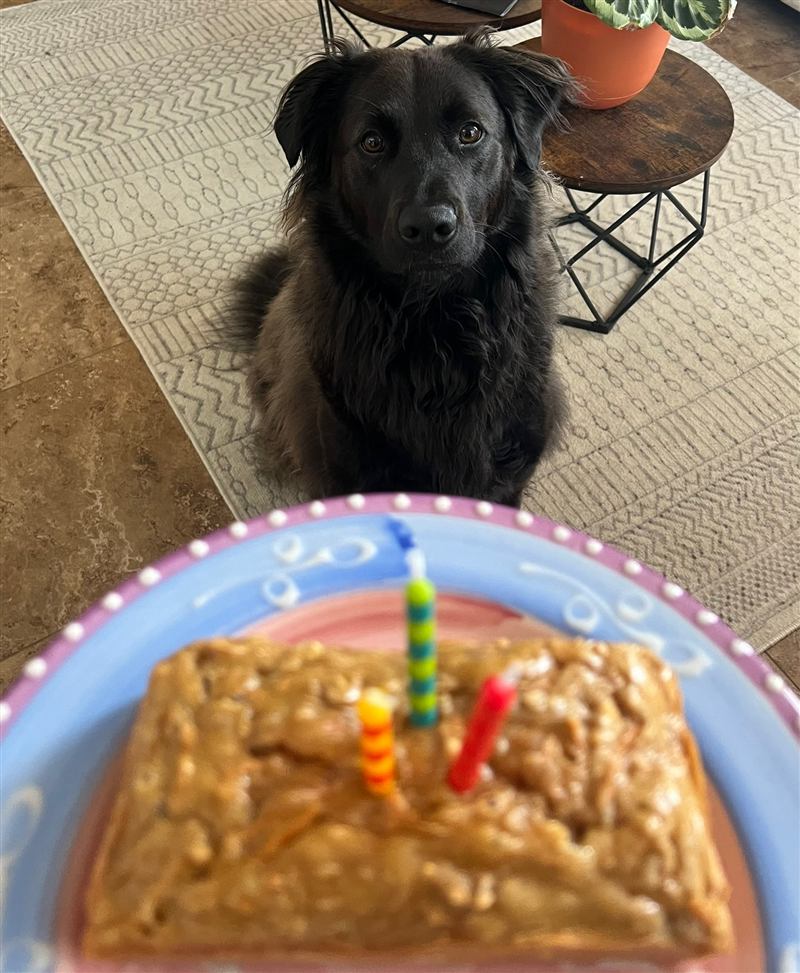Jack sitting behind a homemade birthday cake with lit candles, waiting politely.